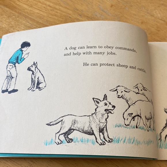 Vintage 1973 I can read about dogs and puppies children’s book - Picture 4 of 7